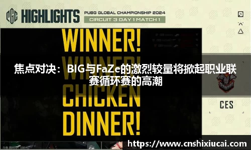 焦点对决：BIG与FaZe的激烈较量将掀起职业联赛循环赛的高潮